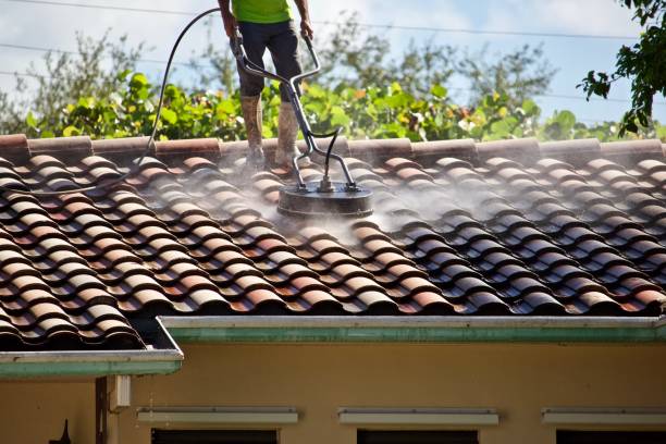 Roof Cleaning