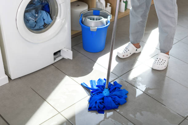 Residential and Commercial Cleaning
